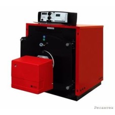 Газовый котел   PROTHERM Бизон NO 100