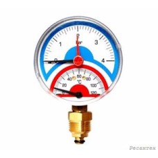 Watts  F+R818 Термоманометр аксиальный 6х1/2  DN 80 (0-6 бар)